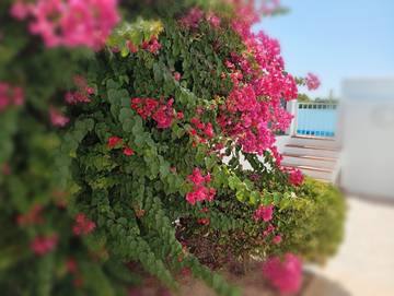 Holiday home in Santa Eulària des Riu, Ibiza für 6 