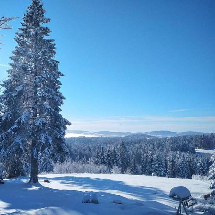Ferienwohnung für 2 Personen, mit Garten und Ausblick, mit Haustier in Haidmühle - 2