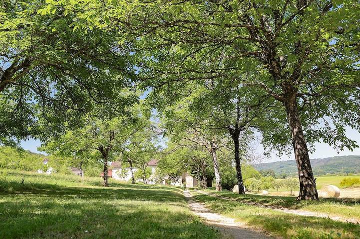 Location de vacances pour 8 personnes, avec terrasse et jardin à Montignac