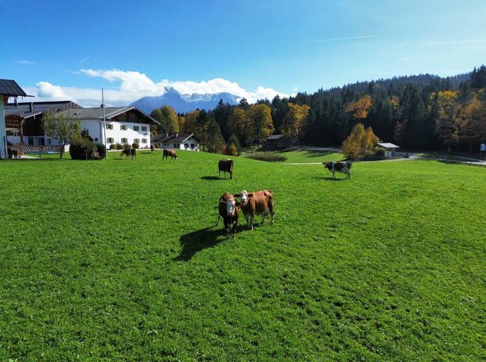 Bauernhof für 2 Personen, mit Terrasse und Garten, kinderfreundlich in Bischofswiesen - 3