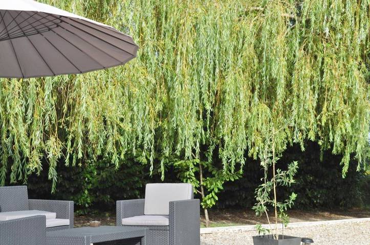 Location de vacances pour 2 personnes, avec jardin ainsi que piscine et vue à Champagne-et-Fontaine - 3