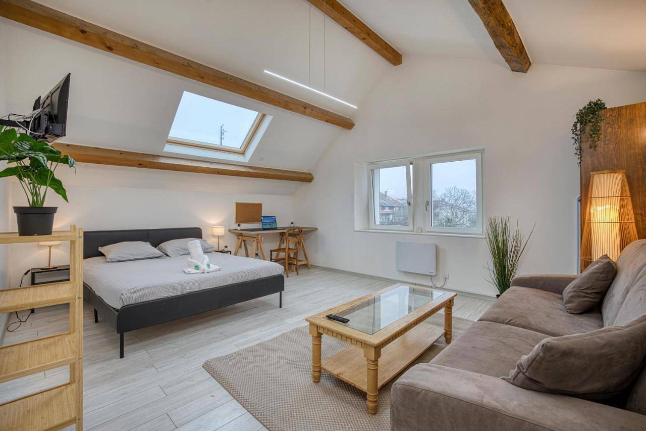 Appartement entier, Coliving - bedroom Salon & Tv in Saint-Jean-de-Gonville, Gex
