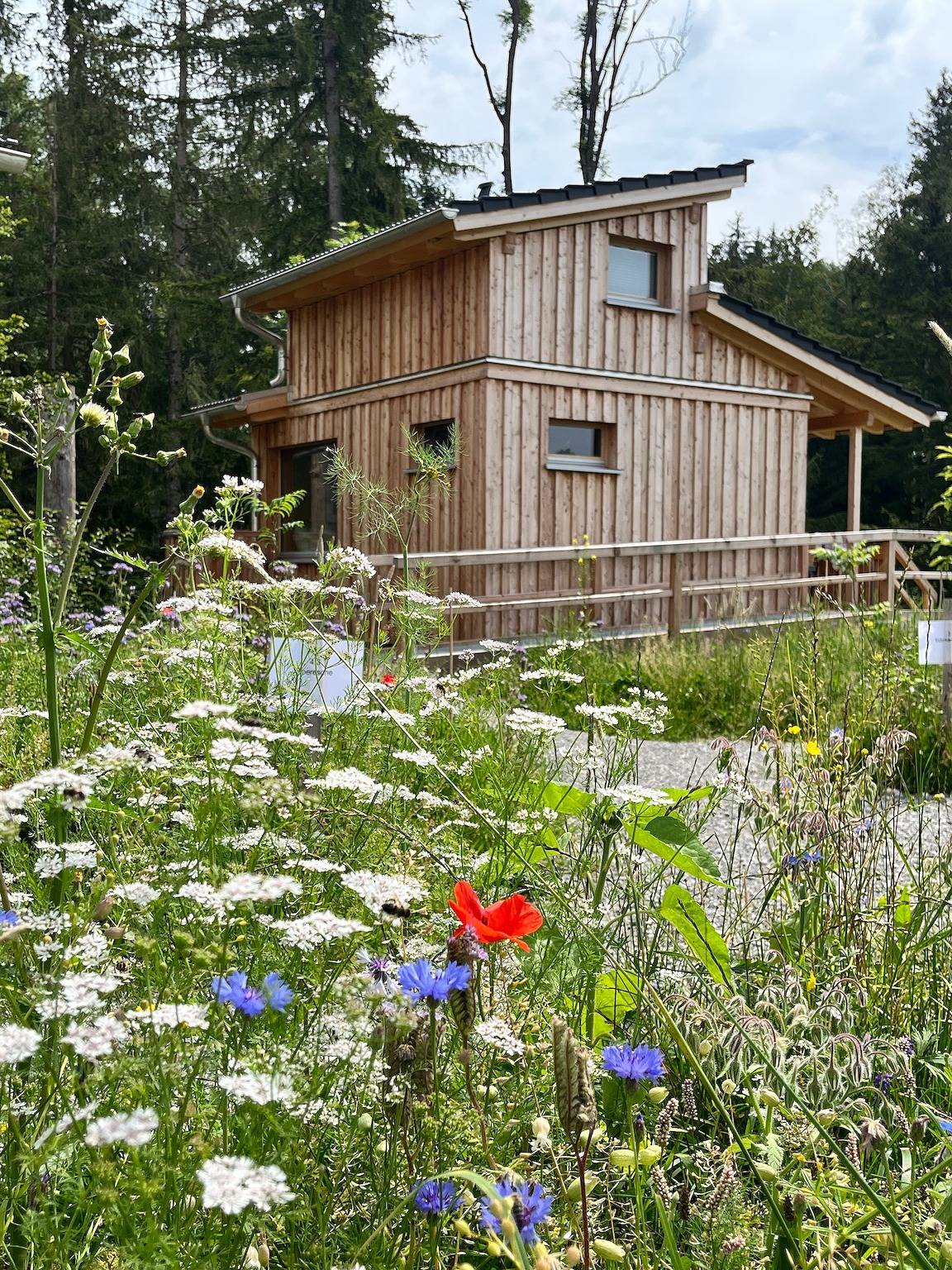 Wald ist Zukunft [Baumhaus Specht] in Bernbeuren, Romantische Straße