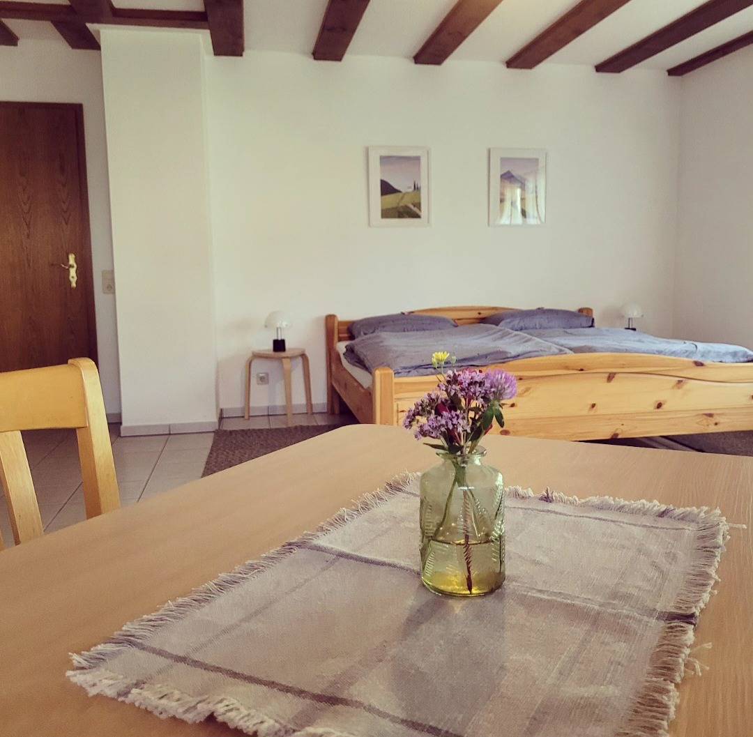 Ganze Ferienwohnung, Fewo Hof Honisheim - 1,5-Zimmer-Fewo, Einzellage, Balkon, 46 qm, Eg in Gaienhofen, Untersee