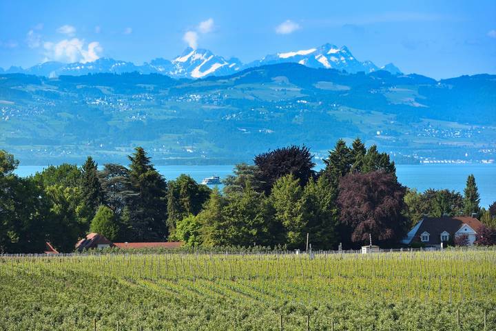 Ganze Wohnung, Apartment 'Dinkelbach Traumblick 3 A' mit Seeblick, Balkon und WLAN in Wasserburg (Bodensee), Bayerisch Schwaben