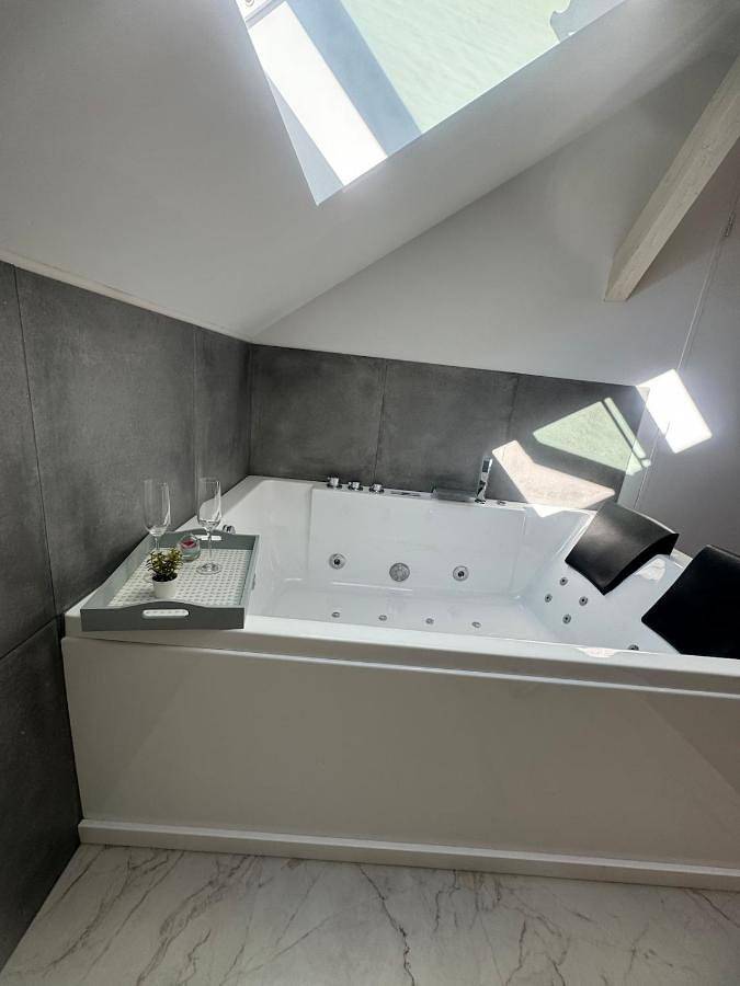 Gîte pour 7 personnes, avec vue et jardin, animaux acceptés dans Nilvange - 4