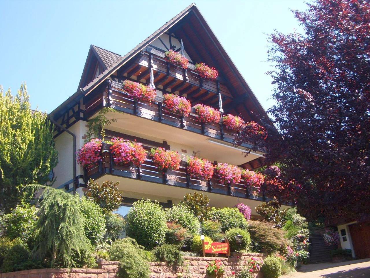 Double Room with Balcony in Sasbachwalden, Forêt-Noire centrale