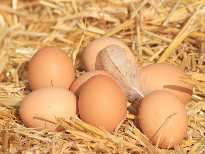 Bauernhof für 7 Personen, mit Garten und Terrasse in der Stuttgart Region - 4