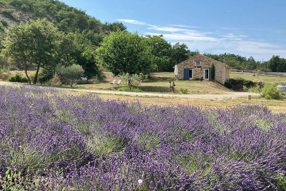 Quiet little cottage in the middle of lavender fields in Pierrerue (Forcalquier), Regionaler Naturpark Luberon