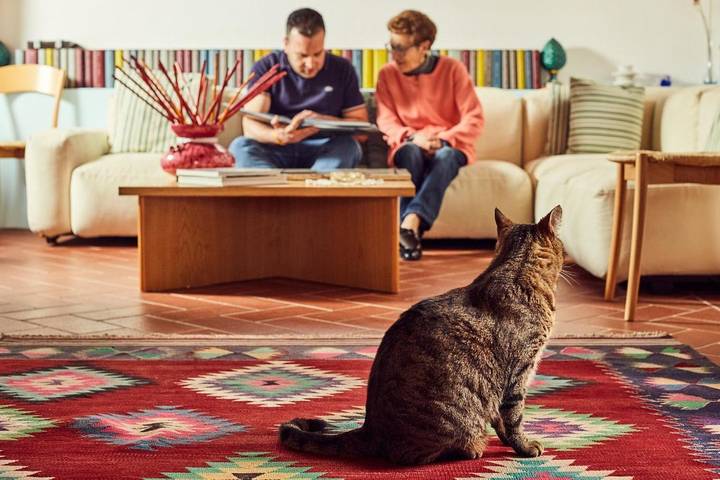 Chambre d’hôte pour 2 personnes, avec vue et jardin à Pienza - 4