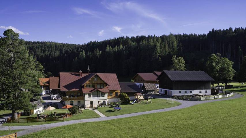 Bauernhof für 4 Personen, mit Garten und Balkon sowie Ausblick, kinderfreundlich in Ramsau am Dachstein
