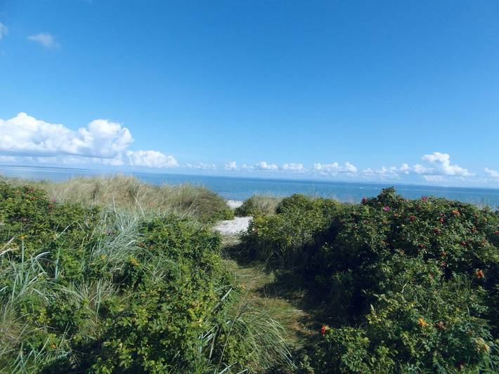 Ferienhaus für 4 Personen, mit Terrasse und Sauna sowie Garten in Maasholm-Bad - 3