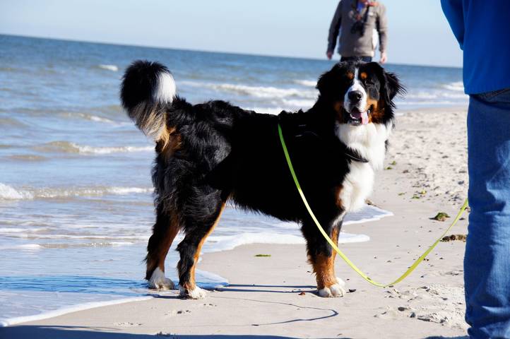 Ferienwohnung für 2 Personen, mit Garten in Carolinensiel - 3