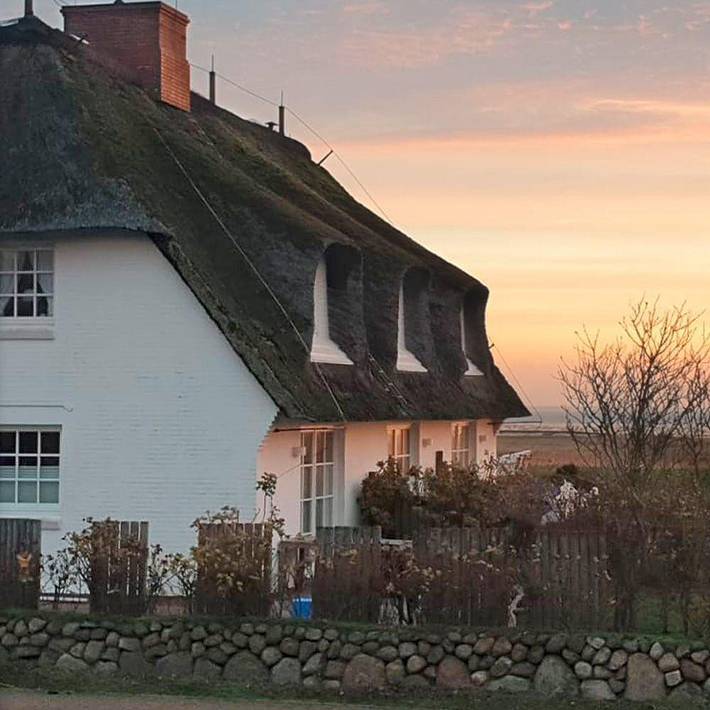 Ferienwohnung für 3 Personen, mit Haustier in Rantum - 3