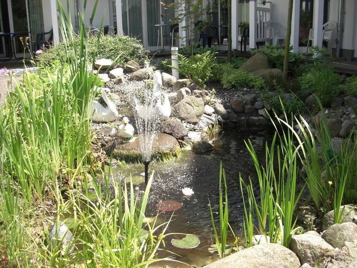 Ferienhaus für 3 Personen, mit Terrasse und Sauna in Kühlungsborn - 3