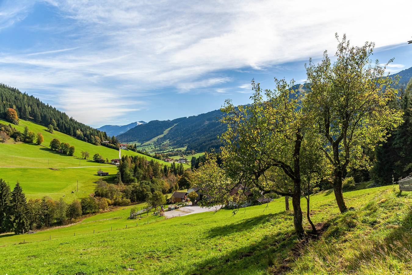 Ganze Wohnung, Ferienwohnung 'Obergeschoss' mit Bergblick und Balkon in Wildschönau, Kaisergebirge
