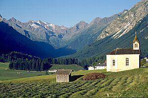 Ganze Ferienwohnung, Gästehaus Klauserhof in Trins, Innsbruck und Umgebung