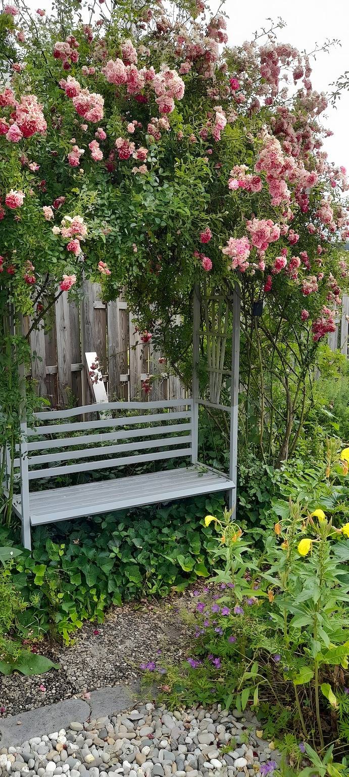 Ganze Wohnung, Apartment „Rosentraum“ mit privater Terrasse, Garten und Wlan in Kirn, Landkreis Bad Kreuznach