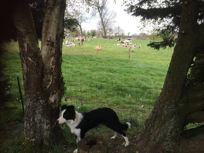 Location de vacances pour 2 personnes, avec terrasse ainsi que jardin et vue dans Valdallière - 3