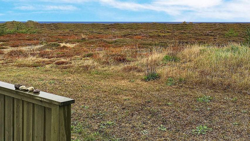 Ferienhaus mit Meerblick für 7 Personen, mit Terrasse auf Læsø - 4