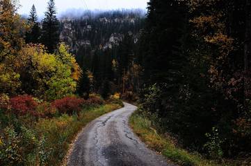 Lodge for 4 Guests in Black Hills, South Dakota, Picture 4