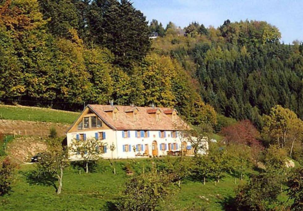 Appartement entier, Gite Fermette Francis à Lapoutroie in Lapoutroie, Parc naturel régional des Ballons des Vosges