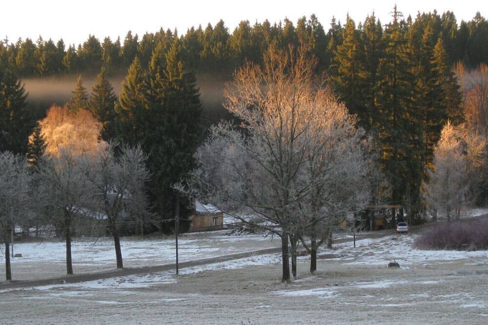 Ganze Wohnung, Gemütliche und geräumige Ferienwohnung in der Natur in Auerbach, Chemnitz und Umgebung