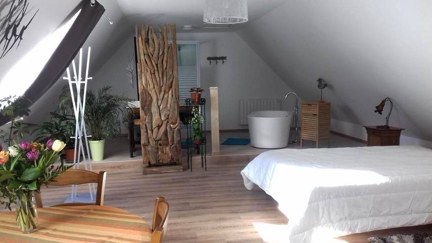 Chambre d’hôte pour 3 personnes, avec Terrasse et Jardin