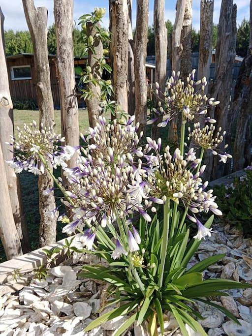 Location de vacances pour 6 personnes, avec piscine ainsi que terrasse et vue à Mios - 2