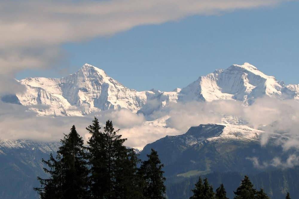 Ganze Wohnung, Panorama-Beatenberg in Beatenberg, Thunersee