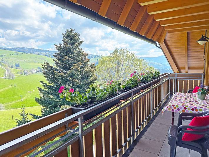 Ferienwohnung für 4 Personen, mit Balkon und Garten in Münstertal - 2