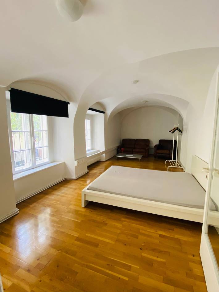 Ganze Ferienwohnung, Wohnung, 3 Zimmer, eines davon Durchgangszimmer, ruhig, Graz Zentrum in Graz, Steirerland