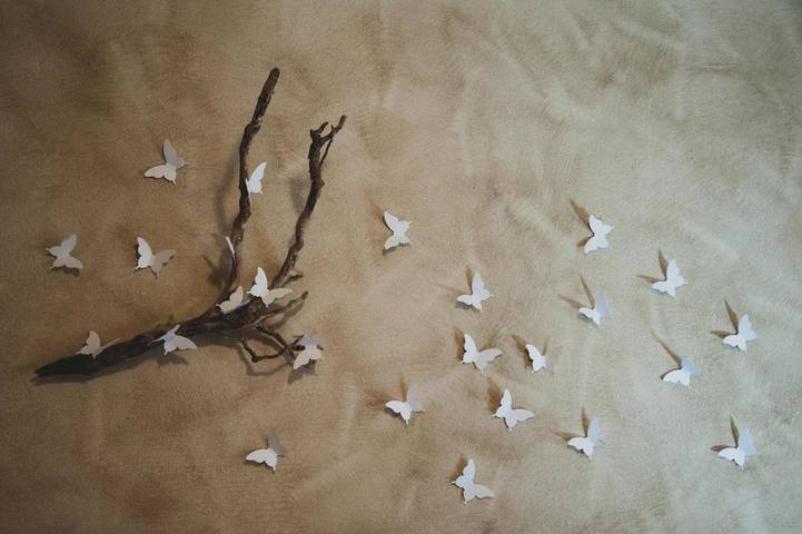 Gîte pour 4 personnes, avec terrasse et vue, animaux acceptés à Transacqua