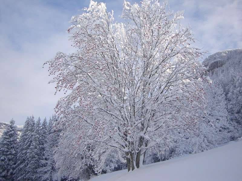 Gite de la caille in Malleval-en-Vercors, Parc naturel régional du Vercors