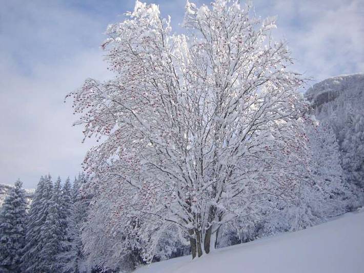 Gite de la caille in Malleval-en-Vercors, Parc naturel régional du Vercors
