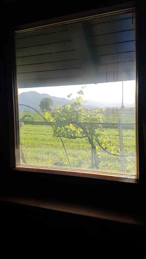 Location de vacances pour 4 personnes, avec balcon et vue à Kranj - 2