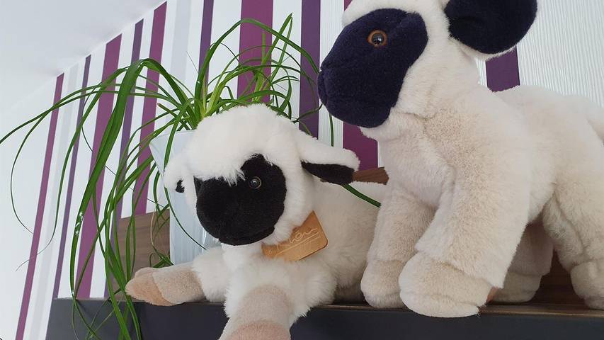 Ferienhaus für 2 Personen, mit Balkon und Garten in Hessen - 4