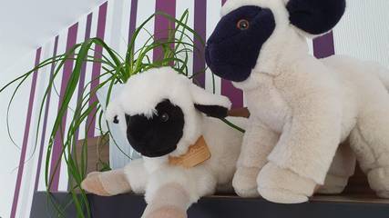 Ferienhaus für 2 Personen in Ehrenberg, Rhön-Hessen, Bild 3