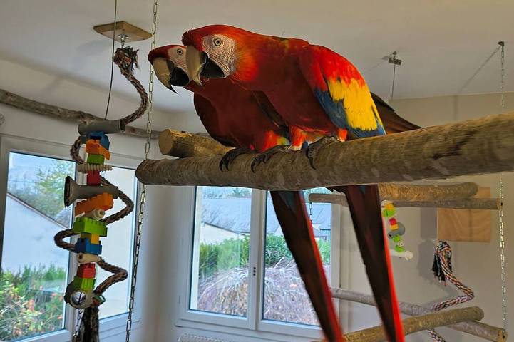 Maison de vacances pour 4 personnes, avec jardin et sauna à La Flèche