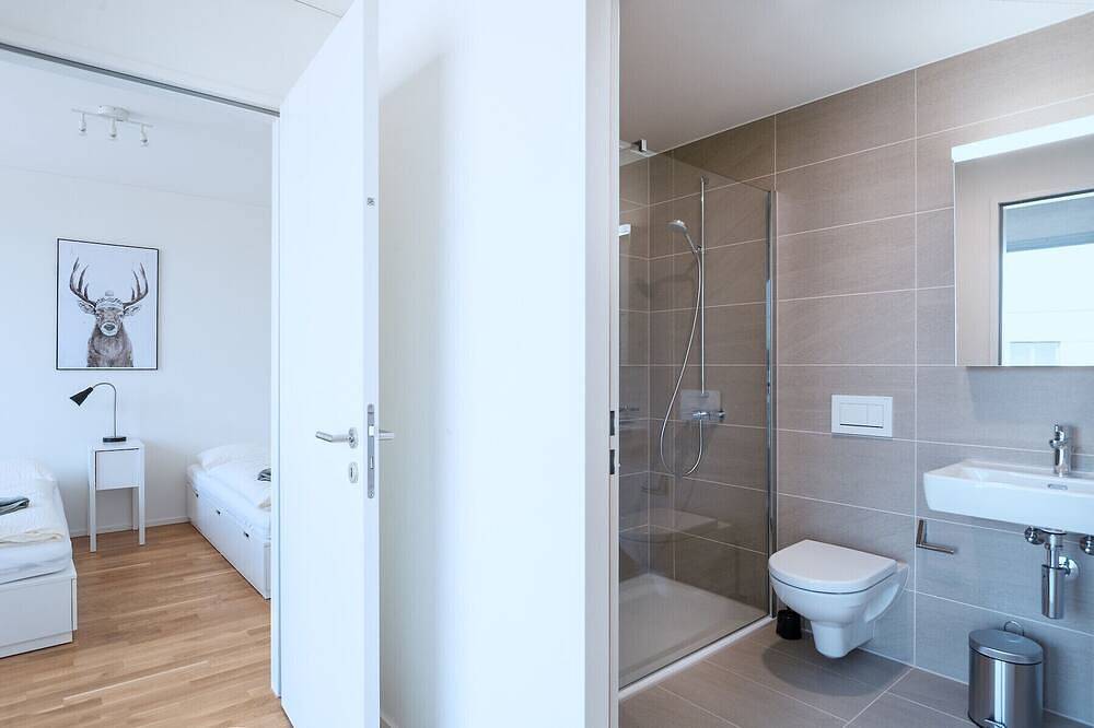 Ganze Wohnung, Bs Bear Iv - Messe Hitrental Apartment in Basel, Region Basel RDK