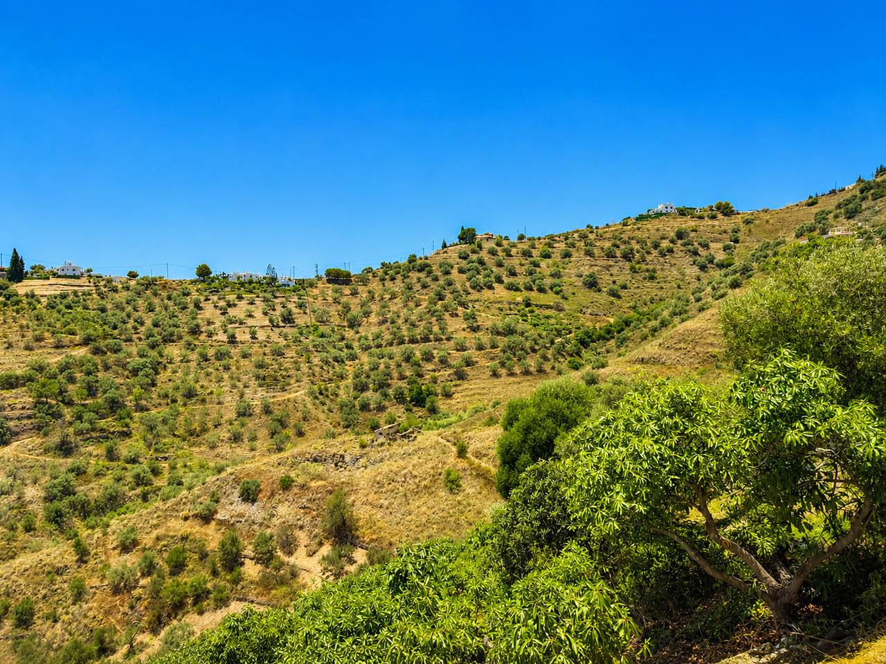 Villa Cecilia con Vistas in Torrox, Cordillera Penibética
