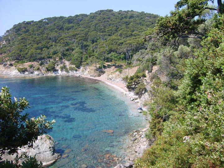 Gîte pour 4 personnes in La Madrague, Hyeres