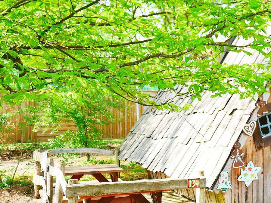Camping Les Castors - Insolite 3 personnes - Cabane Sorcière 3 pers in Burnhaupt-le-Haut, Région de Thann