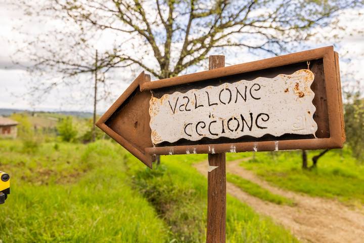 Ganze Wohnung, Ferienwohnung 'Vallone Di Cecione' mit privatem Garten und Wi-Fi in Greve In Chianti, Chianti