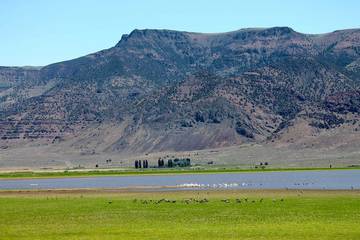Cottage for 3 Guests in Oregon, USA, Picture 3
