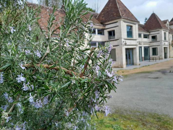 Gîte pour 6 personnes, avec sauna ainsi que jacuzzi et jardin dans Rémalard-en-Perche - 3