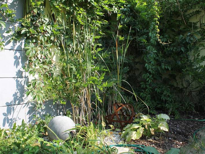 Ferienhaus für 12 Personen, mit Garten im Saarland - 4