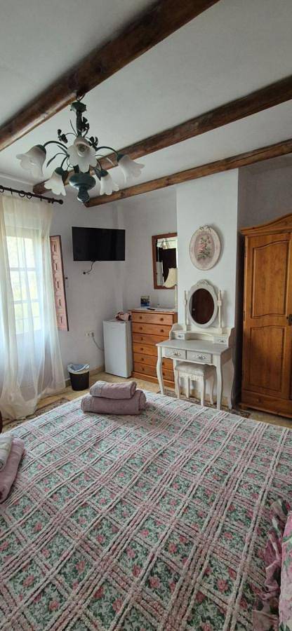 Gîte pour 3 personnes, avec jardin et vue à Pinos Genil - 3