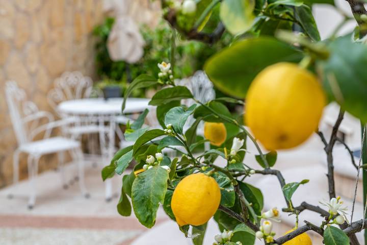 Entire apartment, Holiday Apartment 'New Casa Ilaria' near Center with Garden & Wi-Fi in Torri del Benaco, Garda Mountains