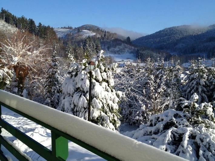 Casa rústica en montaña, ideal para senderismo, cerca de Alsacia y estaciones de esquí in Lubine, Parque natural regional de los Ballons des Vosges
